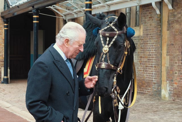 The King meets Noble, the horse gifted to him by the Royal Canadian Mounted Police, at The Royal Mews in Windsor (Buckingham Palace/PA)