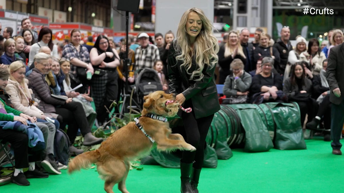 Watch Love Island star Faye Winter take part in Crufts with her Golden Retriever