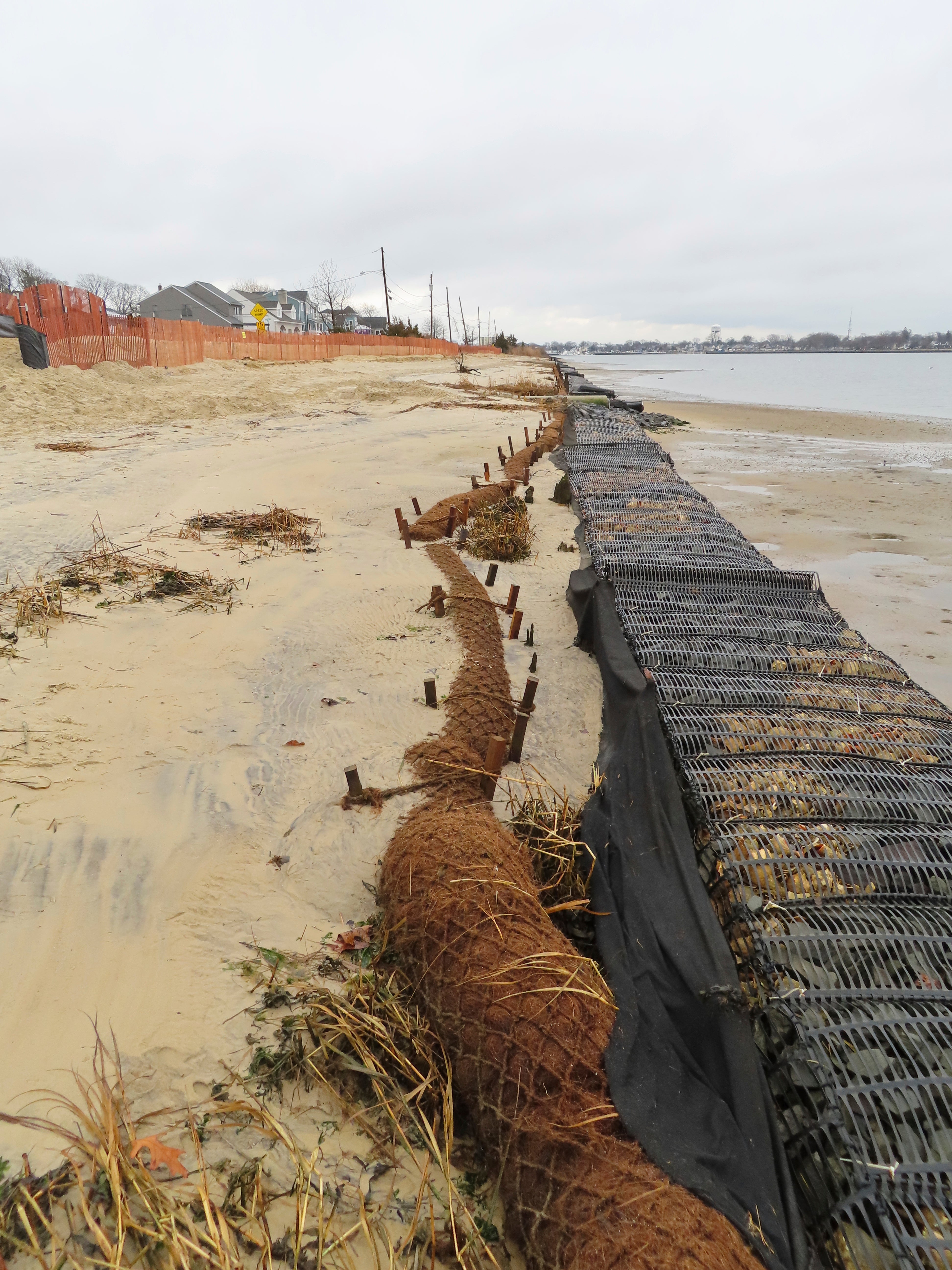 Coconuts Shoreline Protection