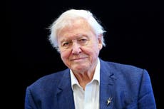 Sir David Attenborough urges people to unite to save ‘nature in crisis’