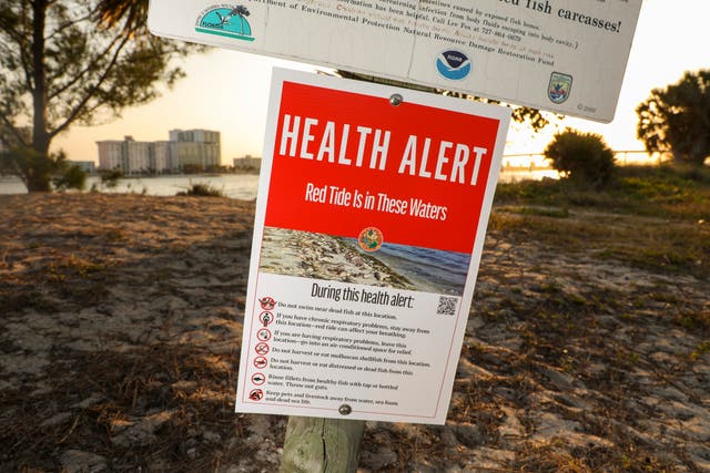 <p>A health alert sign warns visitors to Sand Key Park of the presence of Red Tide in the surrounding water</p>