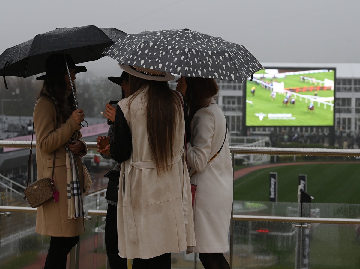 Cheltenham weather: What is the going for Day 1 of the 2023 Festival?