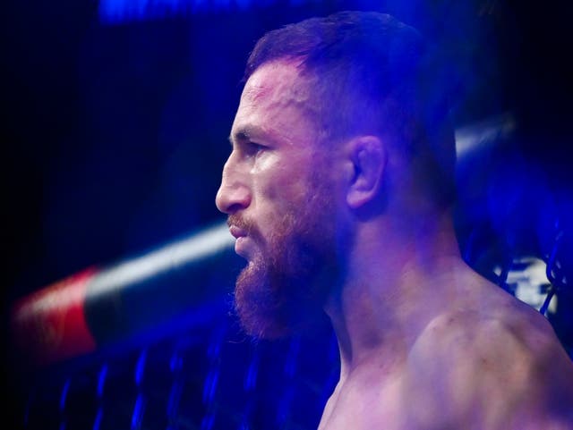 <p>UFC bantamweight contender Merab Dvalishvili</p>
