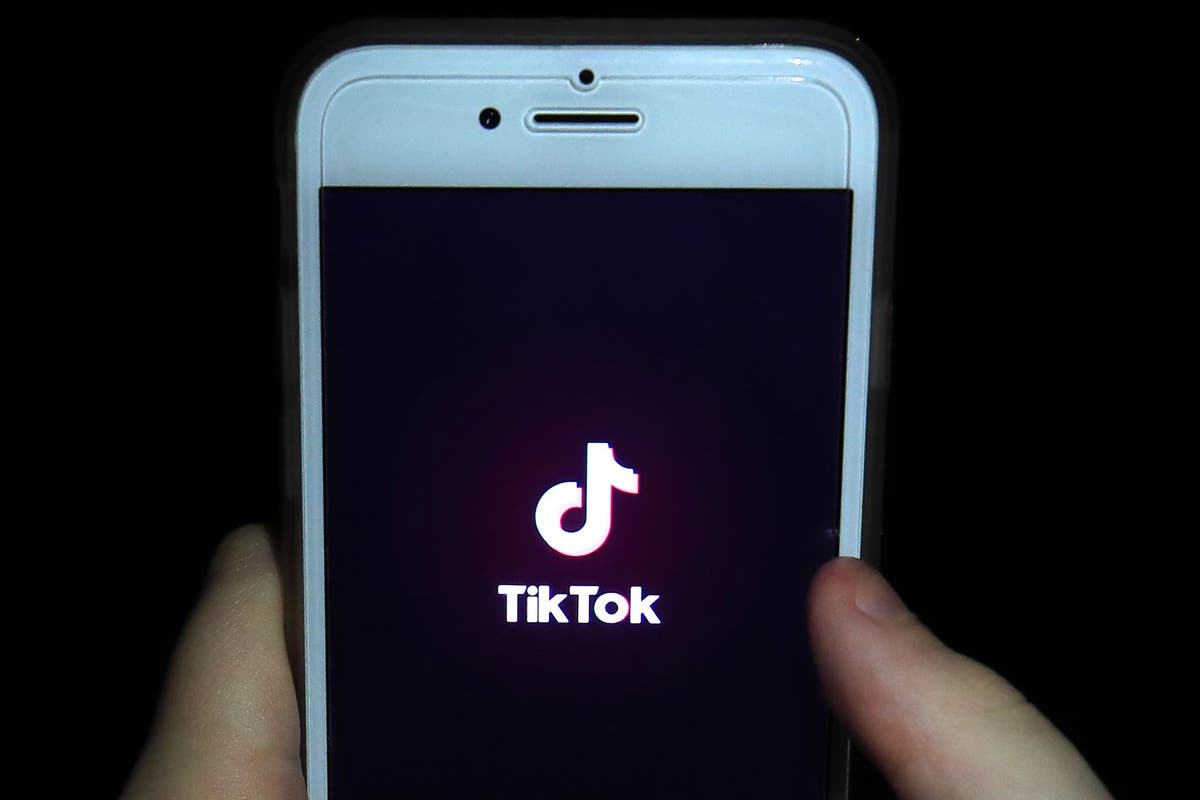 Security minister does not rule out full TikTok ban