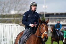 Cheltenham Festival 2023 tips: Bets and latest odds for Day 1