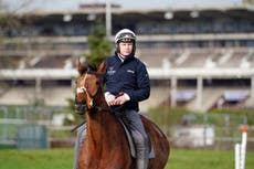 Cheltenham Festival 2023 race card, runners and full schedule