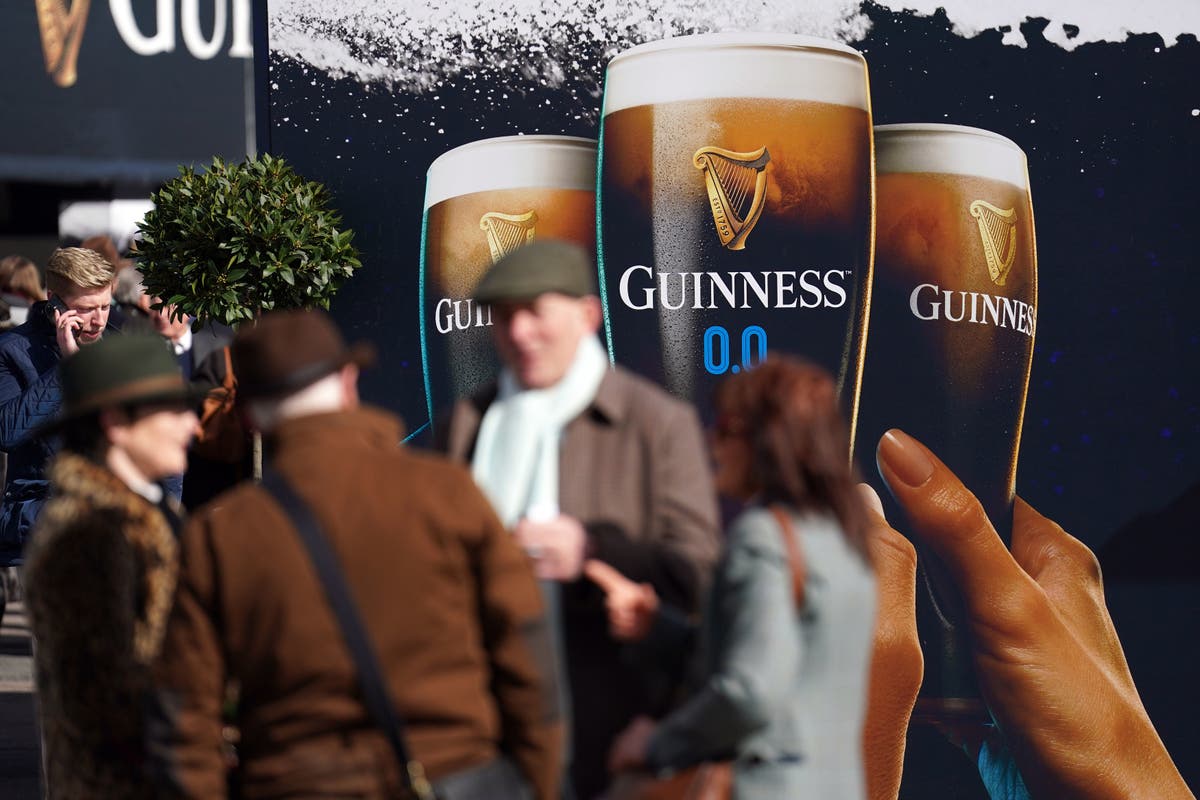 How much is a pint of Guinness at Cheltenham Festival?