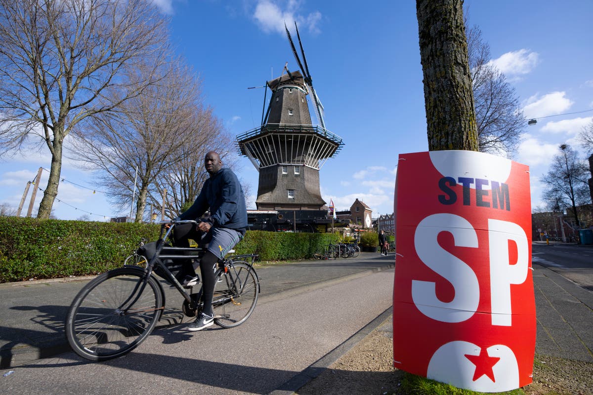 Dutch go to polls in mid-term provincial elections