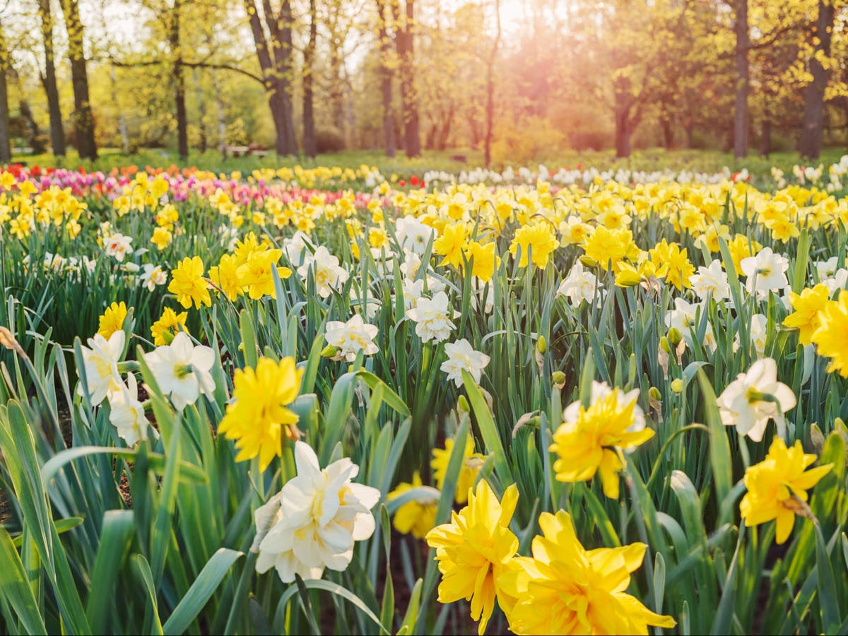 Everything you need to know about the 2024 spring equinox