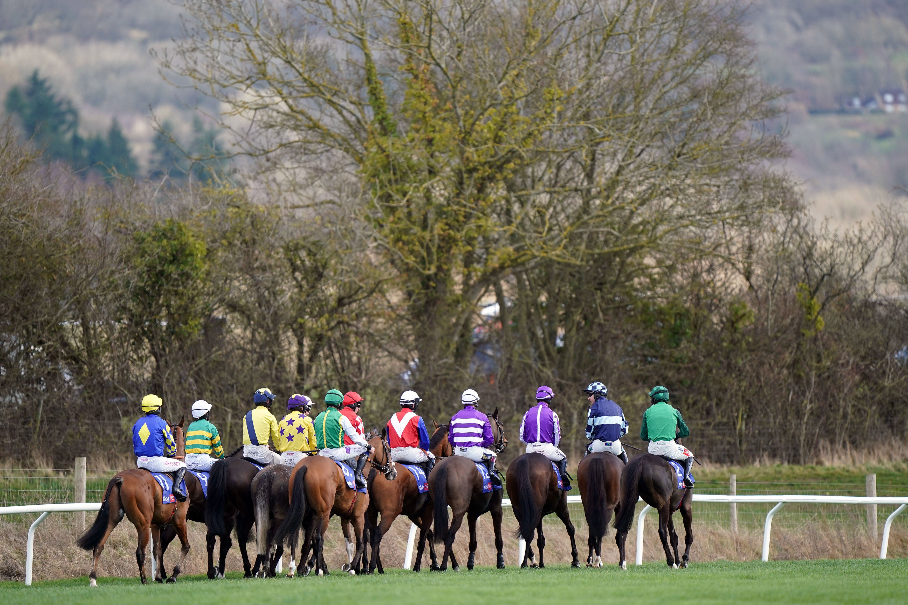 At least one horse has died at the Cheltenham Festival every year it has been held since 2000
