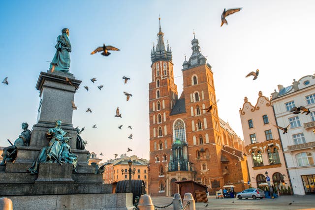 <p>Birds flying over Krakow’s city centre</p>