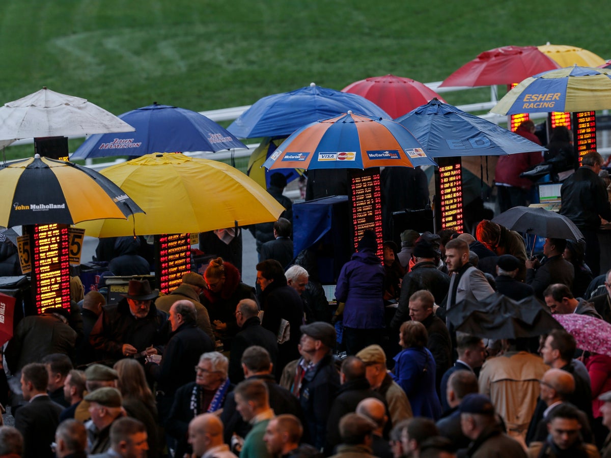 Cheltenham Festival betting offers at Paddy Power, Betfair and more