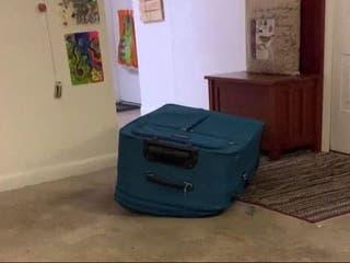 Woman who zipped boyfriend in suitcase and filmed his terror plans ...