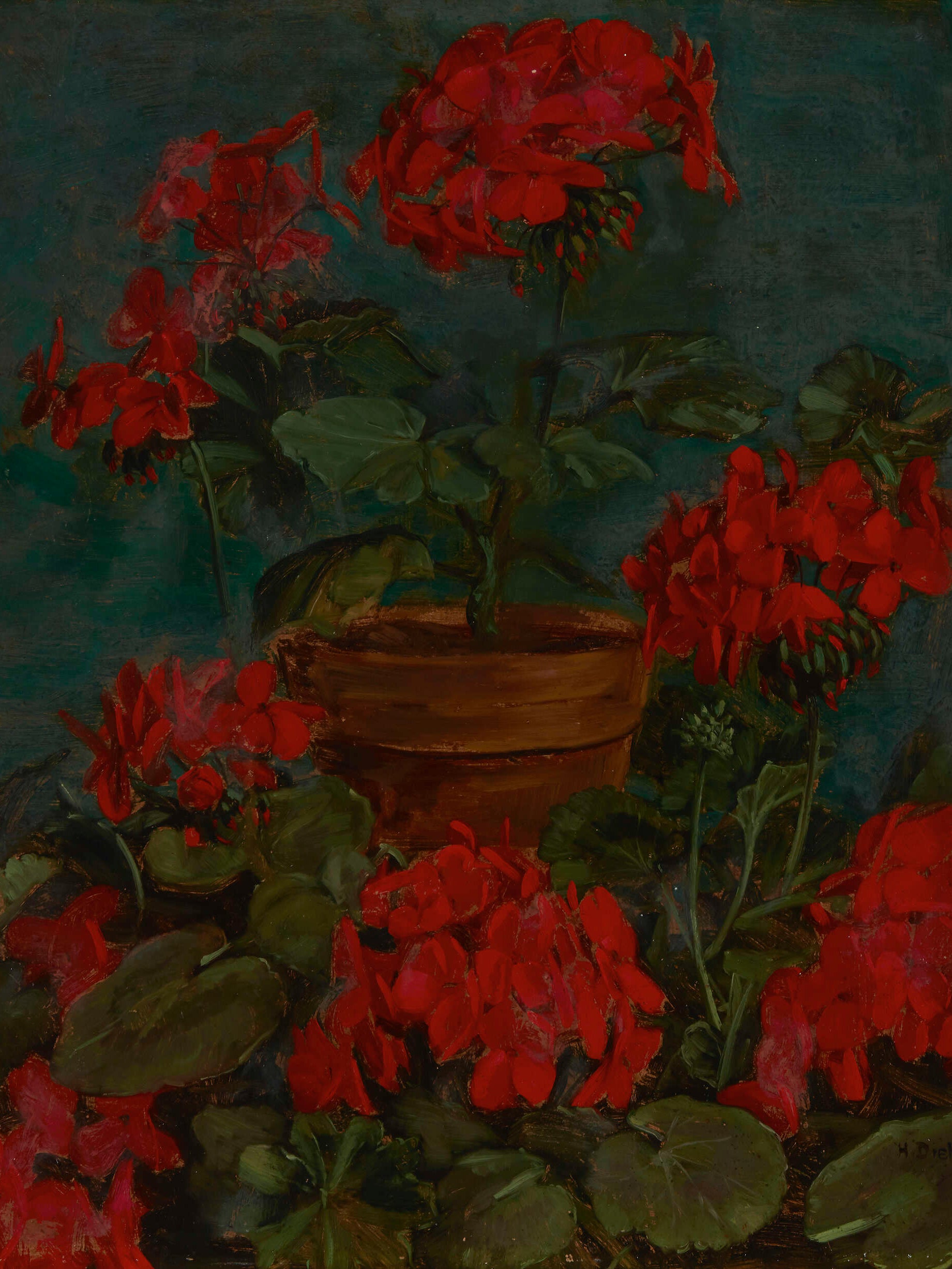 Hans Dieter, 1881-1968: still life with red geraniums