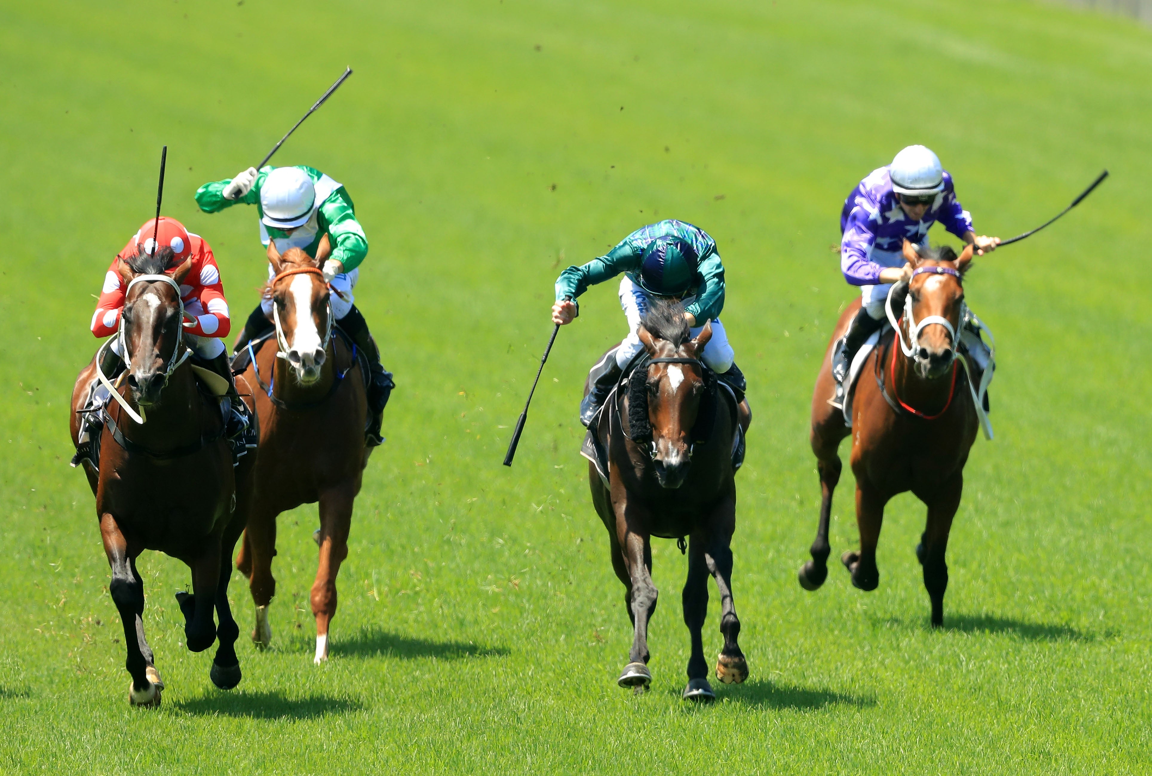 Jockeys whip their horses during a race in Sydney, Australia