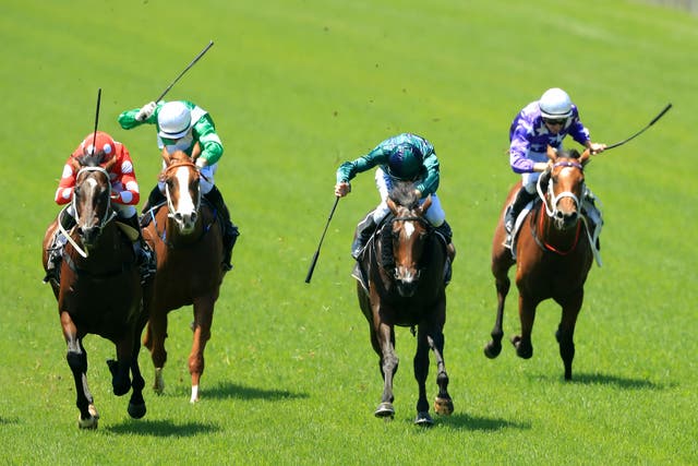 <p>Jockeys whip their horses during a race in Sydney, Australia</p>