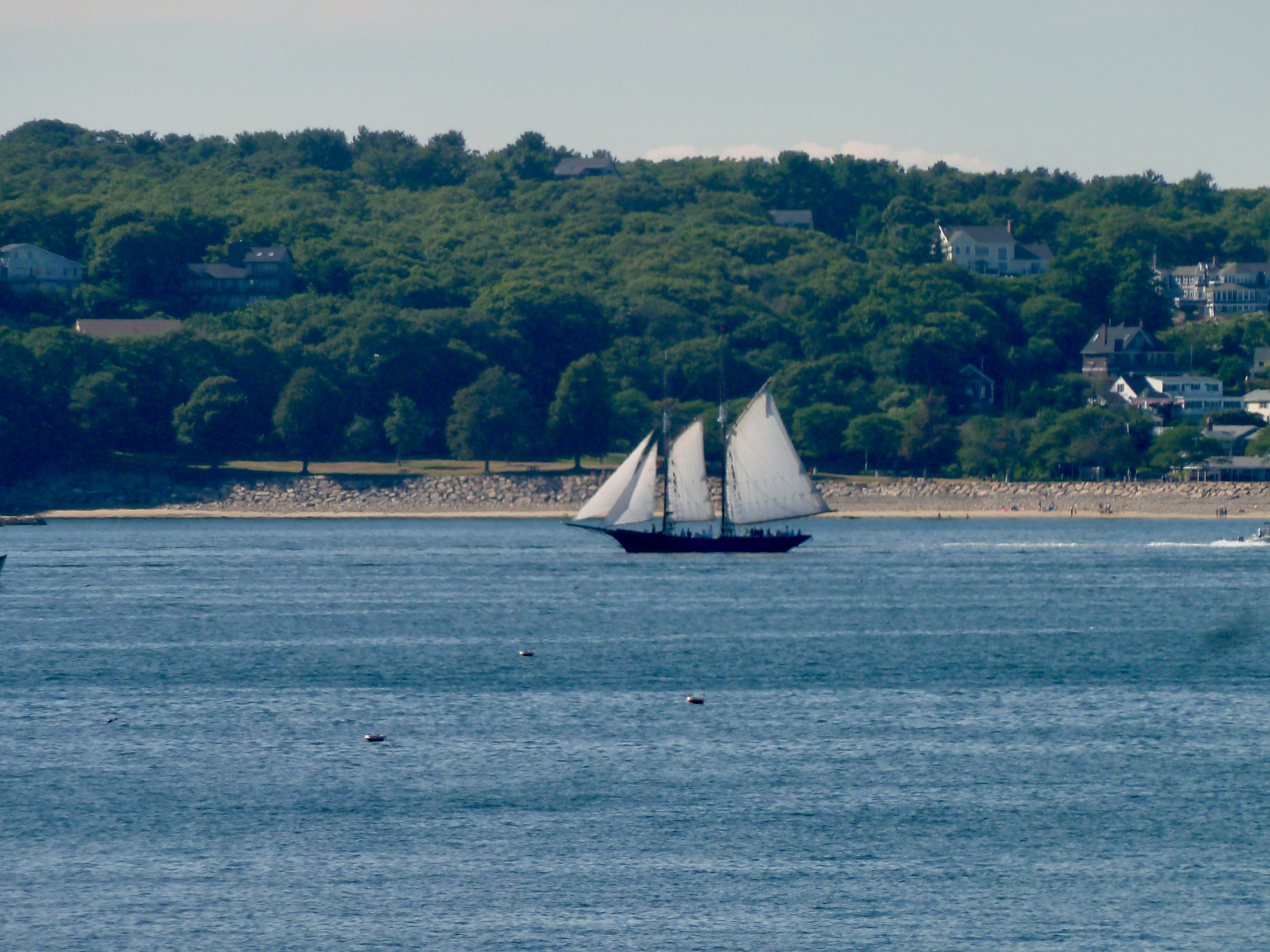 Setting sail can be the best way to see Gloucester