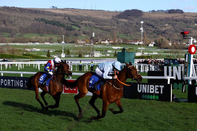 <p>Horse Racing  at Cheltenham Festival in Britain on 14 March 2023 </p>