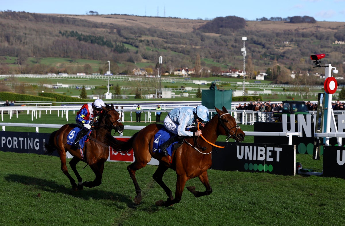 Cheltenham covers vulnerable areas of horse-racing track as temperature drops to sub-zero levels