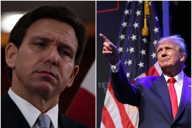 <p>DeSantis and Trump are likely heading into a 2024 matchup</p>