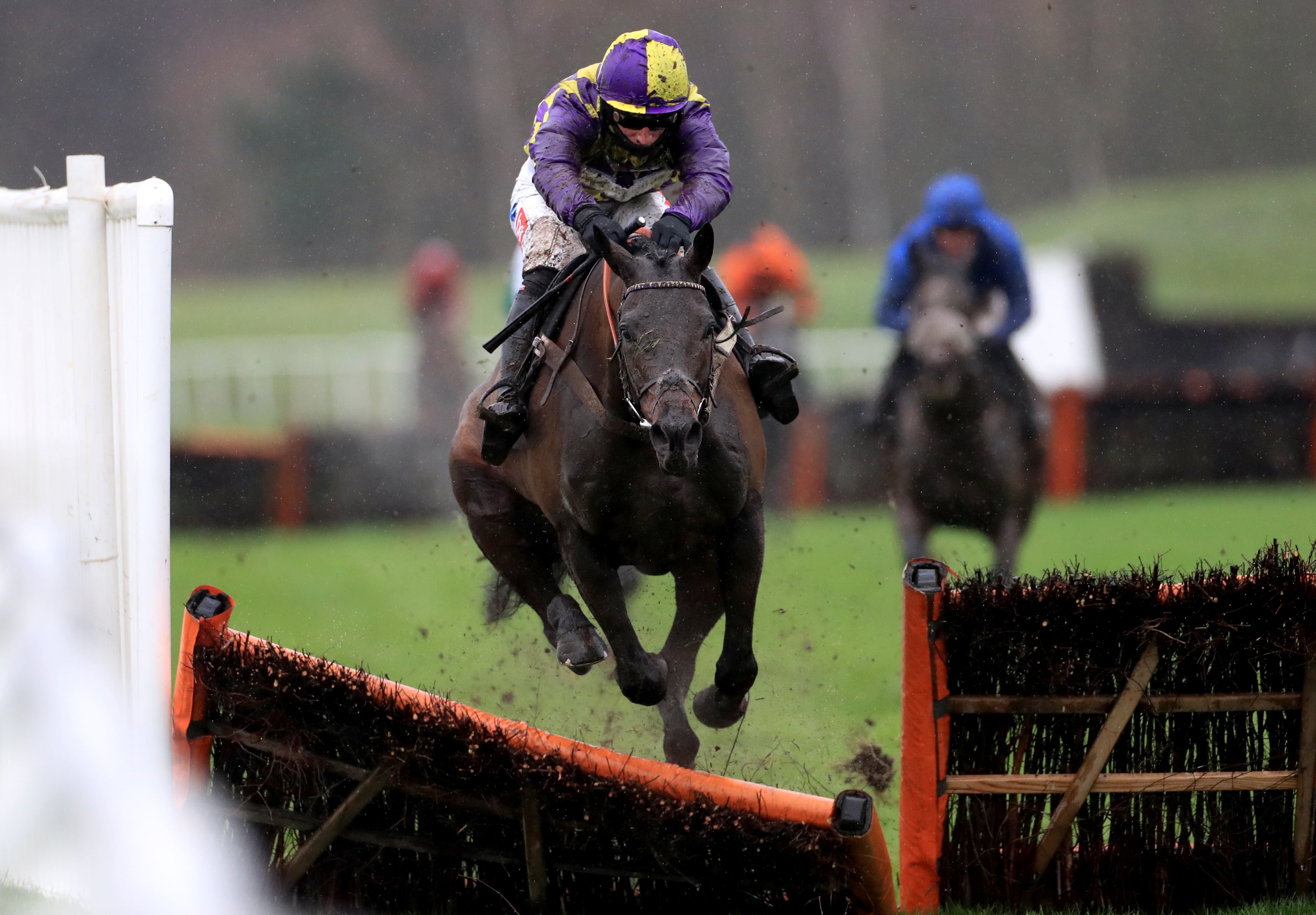Malinello, pictured racing in December 2020, died on the first day at Cheltenham