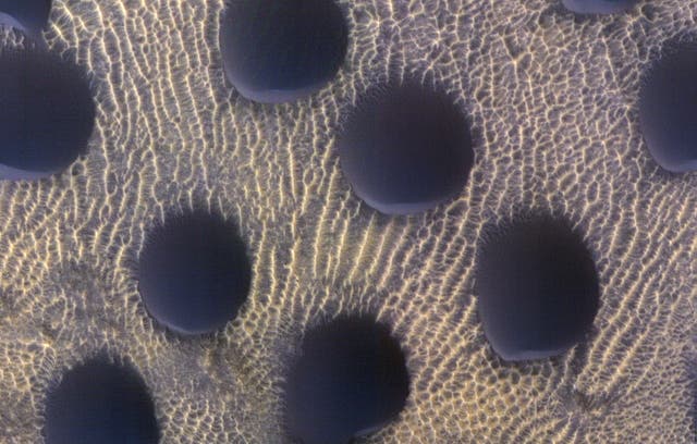 <p>Almost perfectly circular sand dunes on Mars </p>
