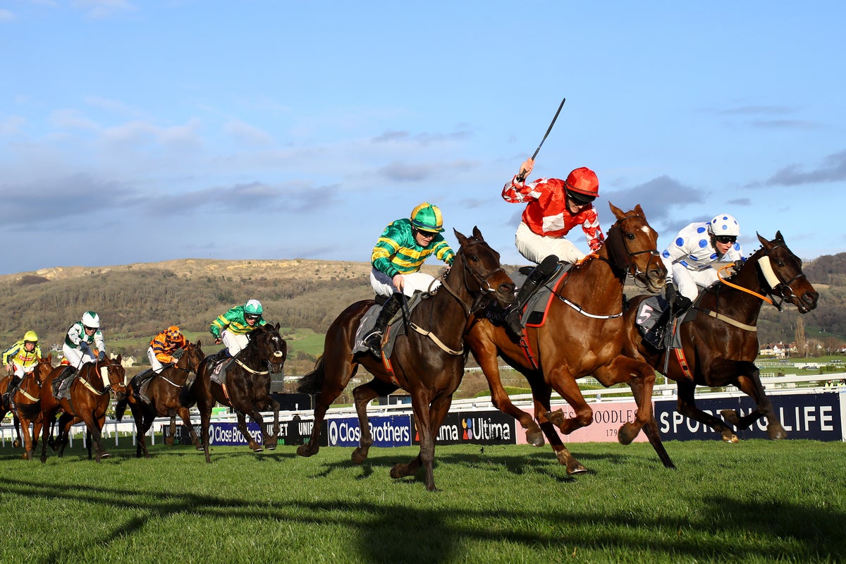 Cheltenham favourites today: Latest odds and ante-post betting