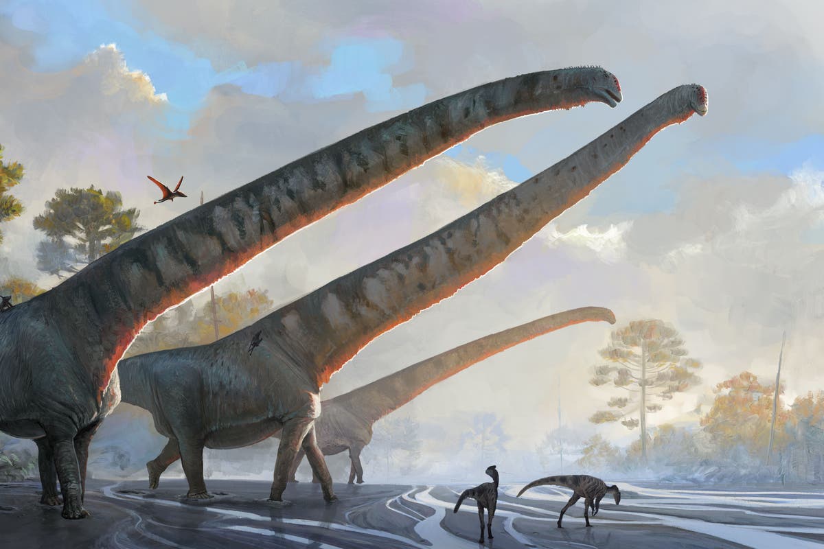 Scientists identify dinosaur with the longest neck ever seen in an animal