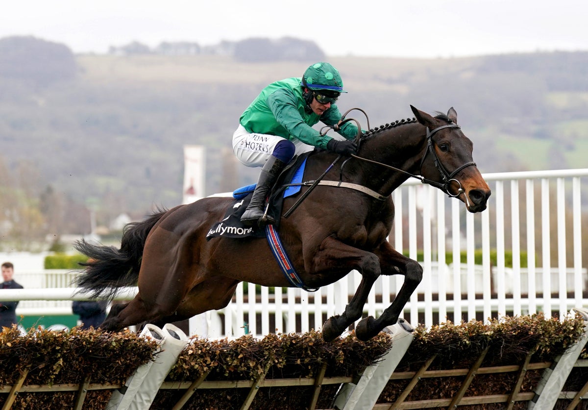 Cheltenham live results today: Winners and updates from 2.50 race
