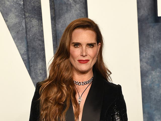<p>Brooke Shields attends the 2023 Vanity Fair Oscar Party Hosted By Radhika Jones at Wallis Annenberg Center for the Performing Arts on March 12, 2023 in Beverly Hills, California. (Photo by Jon Kopaloff/Getty Images for Vanity Fair)</p>