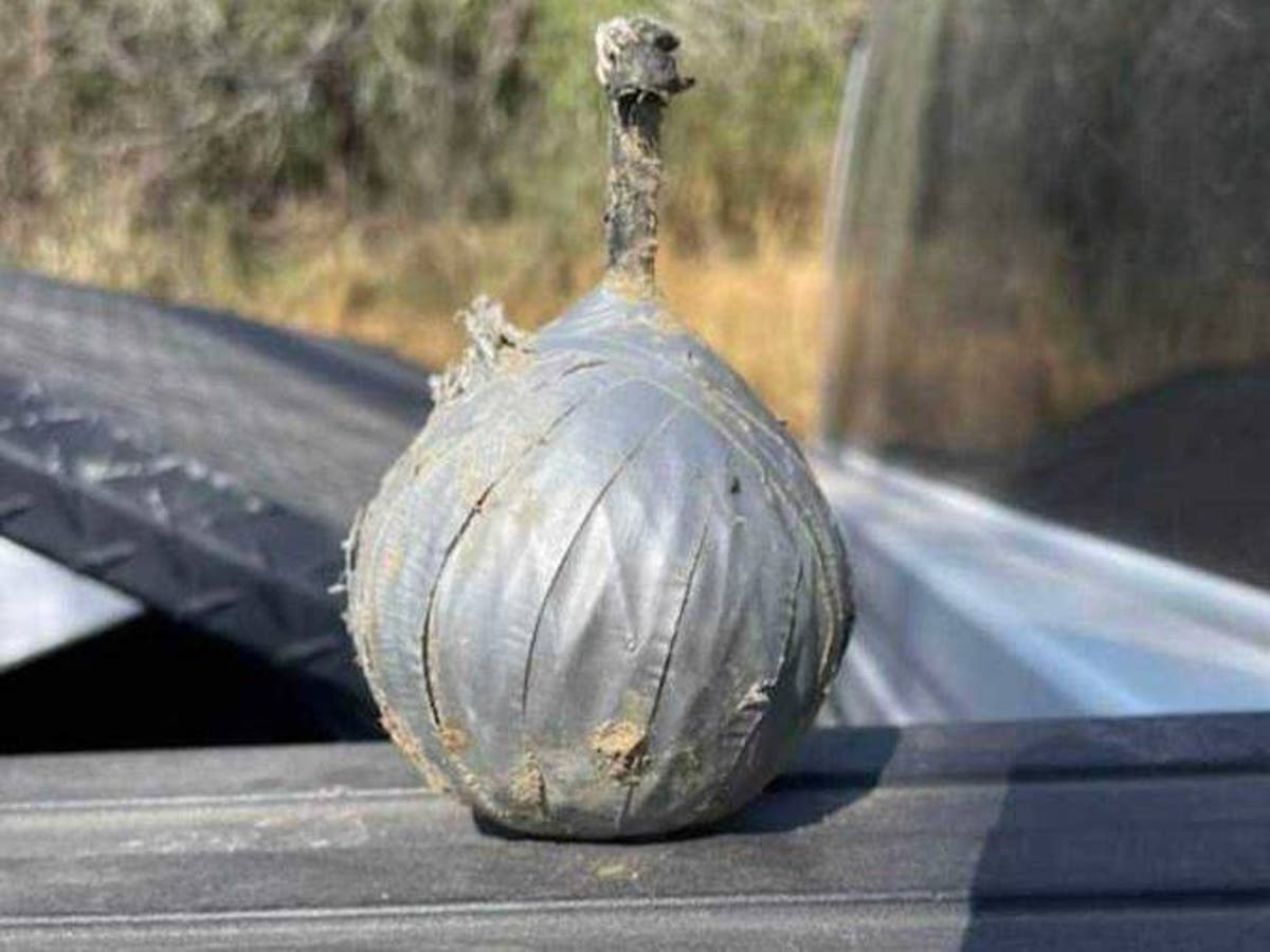 Marjorie Taylor Greene explains why she claimed a dirt-filled bag found at the border was a bomb