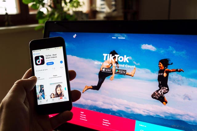 TikTok will be banned on Government phones, ministers are expected to announce after security concerns were raised about use of the Chinese-owned app (Josef Kubes/Alamy/PA)