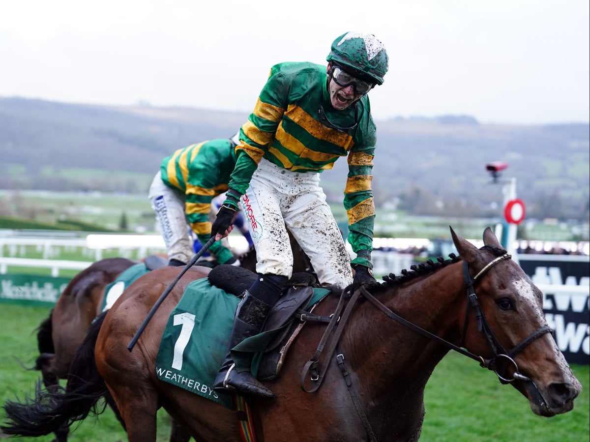 Cheltenham Festival LIVE: Results, winners, preview and latest updates