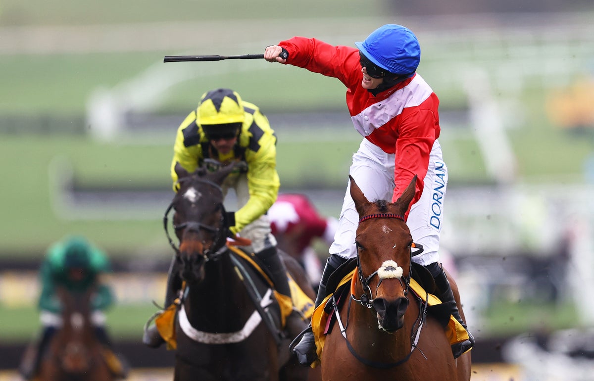 Envoi Allen in the parade ring