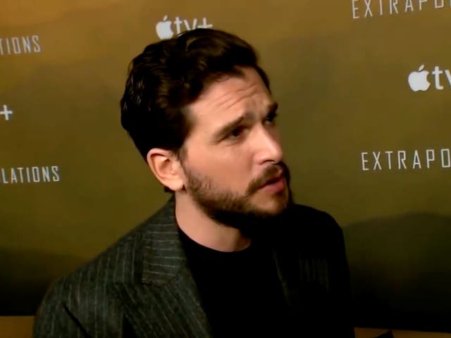 <p>Kit Harington</p>