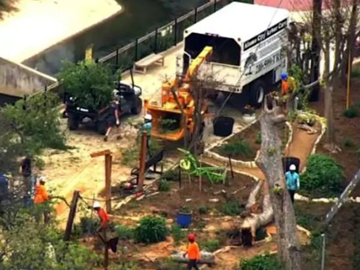 Texas hayvanat bahçesinde dalından düşen yedi çocuğu yaralayan çocuğun durumu kritik