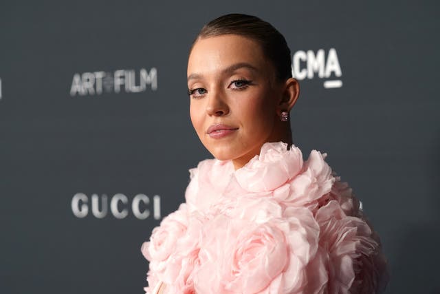 <p>Sydney Sweeney attends the 2022 LACMA ART+FILM GALA Presented By Gucci at Los Angeles County Museum of Art on November 05, 2022</p>