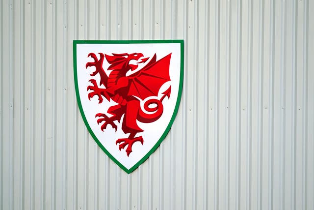 Three Football Association of Wales councillors have been suspended in the past 10 months following allegations of inappropriate behaviour (Mike Egerton/PA)