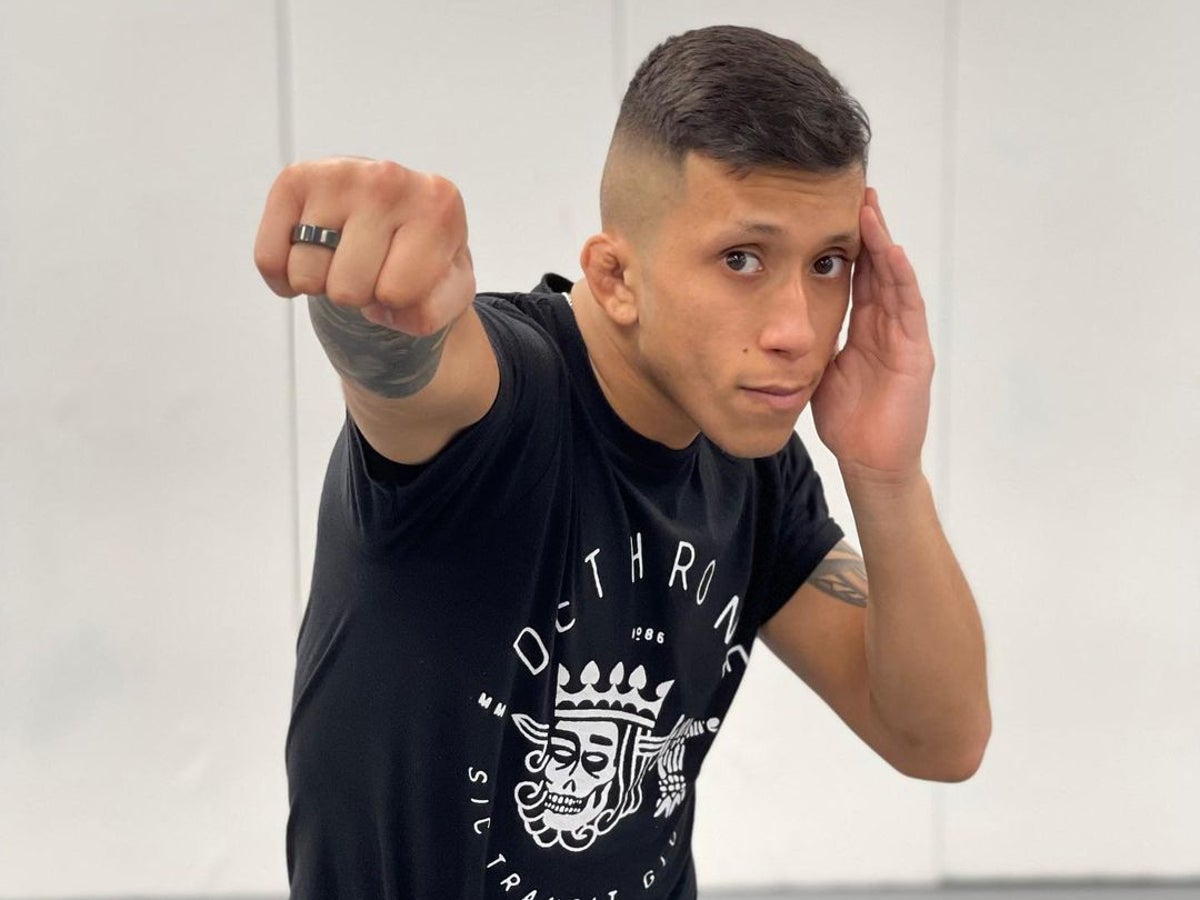 Jeff Molina: UFC fighter comes out as bisexual | The Independent