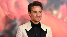 One Direction bandmates have supported me through ‘dark time’, says Liam Payne