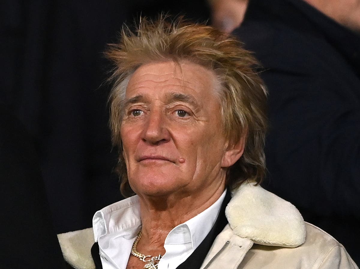 &lsquo;I&rsquo;m absolutely downhearted&rsquo;: Rod Stewart cancels show at last minute due to &lsquo;infection&rsquo;