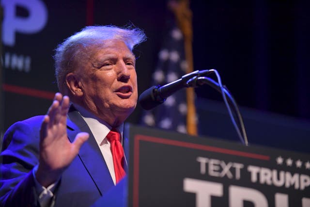 <p>Donald Trump </p>
