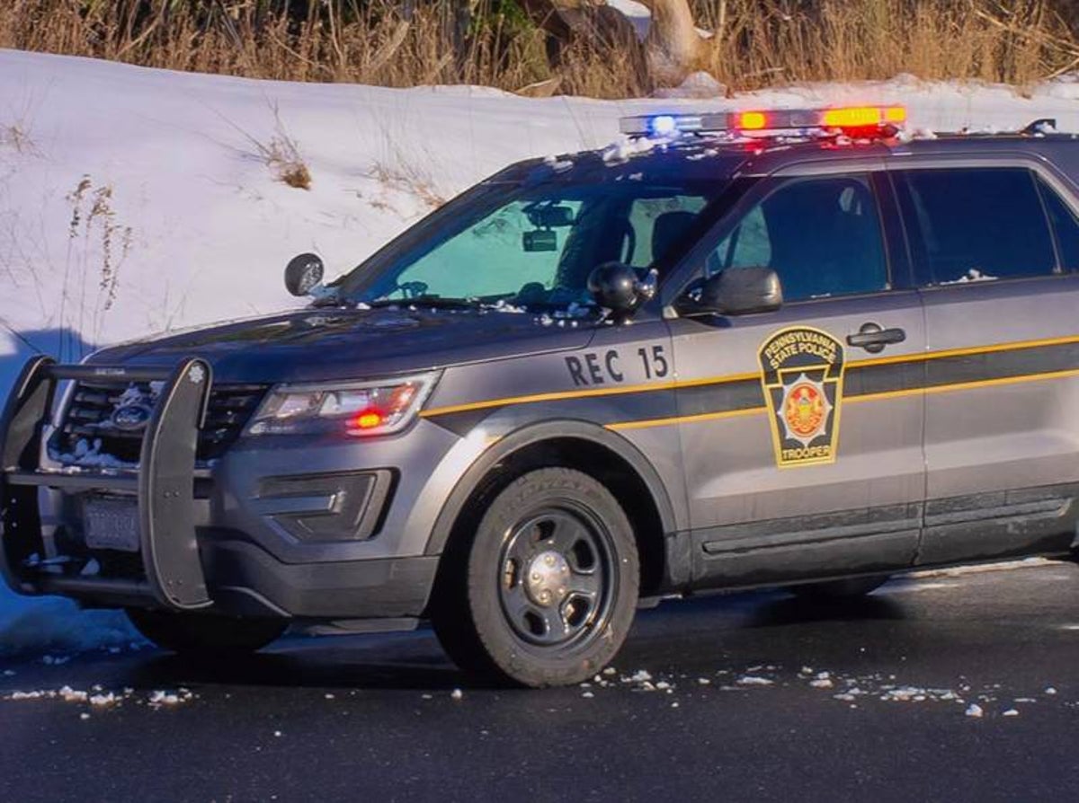 Security guard gets dragged by truck while trying to apprehend thief of three-foot foam carrot