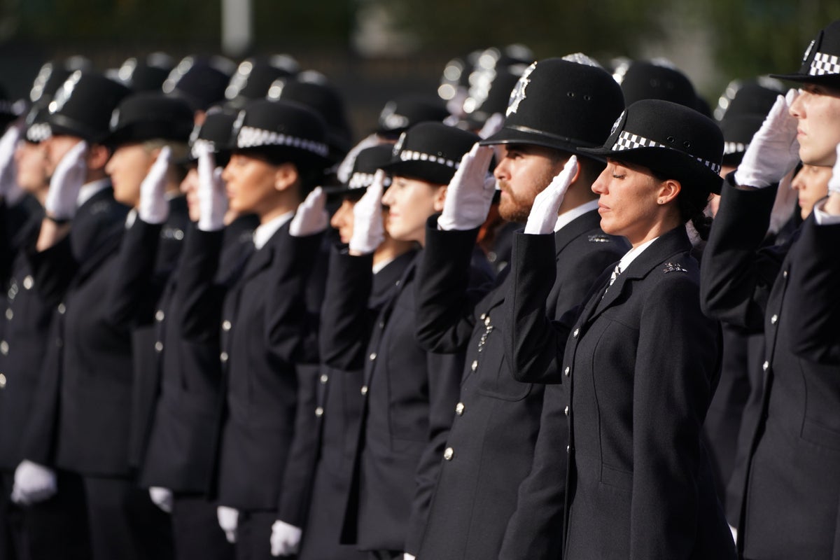 Former Met officer wants ‘toxic culture of sexism’ to be exposed by review