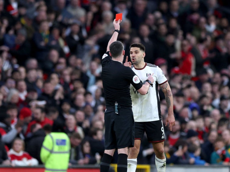 Mitrovic could face further punishment after pushing the referee