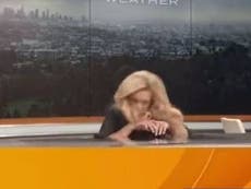 TV meteorologist faints during live broadcast