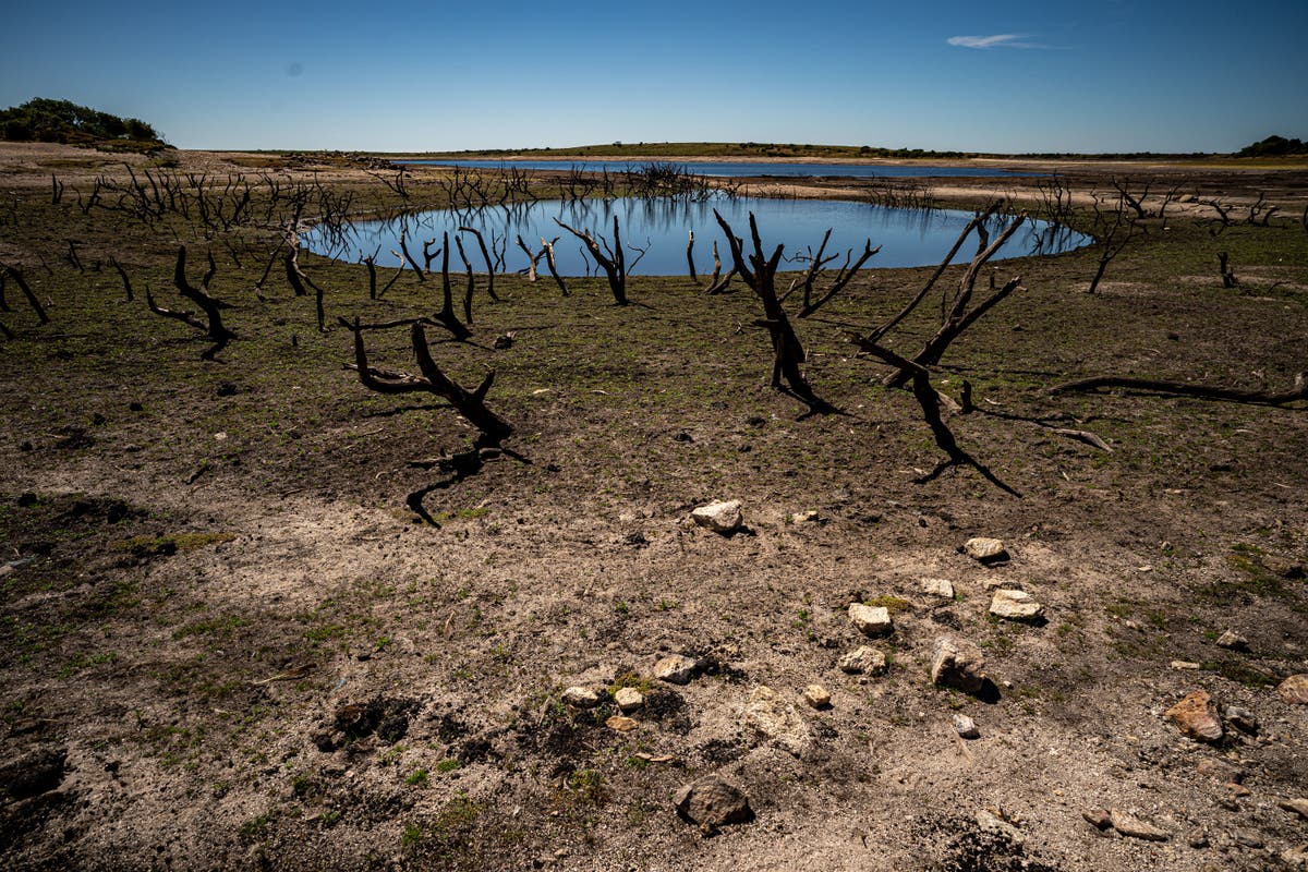 Window of opportunity to preserve liveable climate rapidly closing, says IPCC