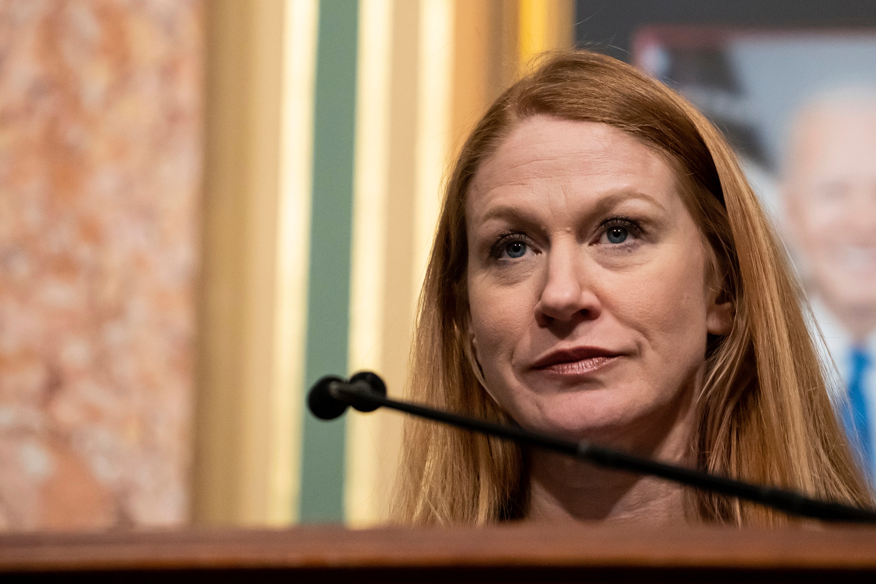 Book Bans School Libraries