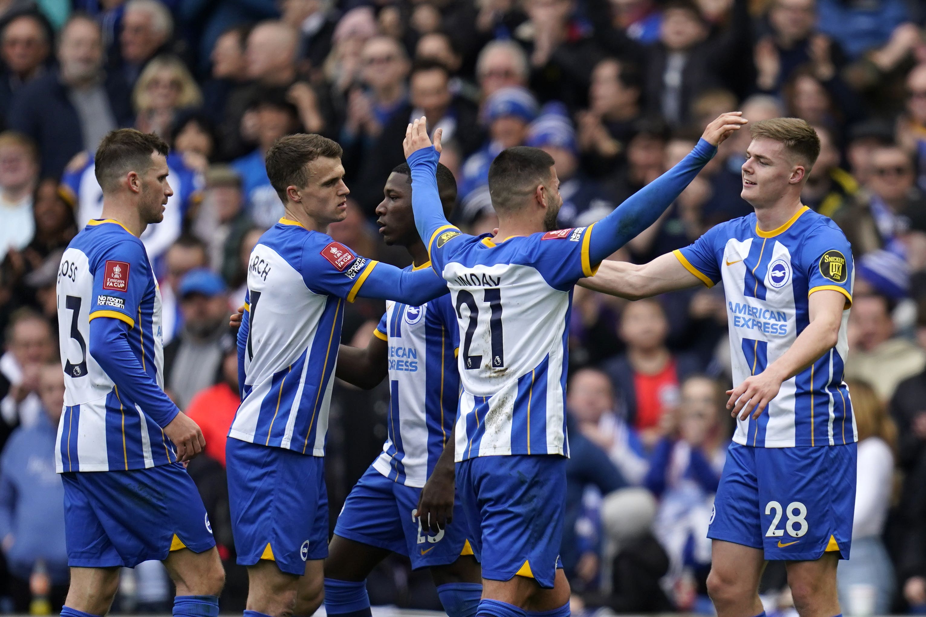 Brighton blooming Five reasons behind the Seagulls’ success this