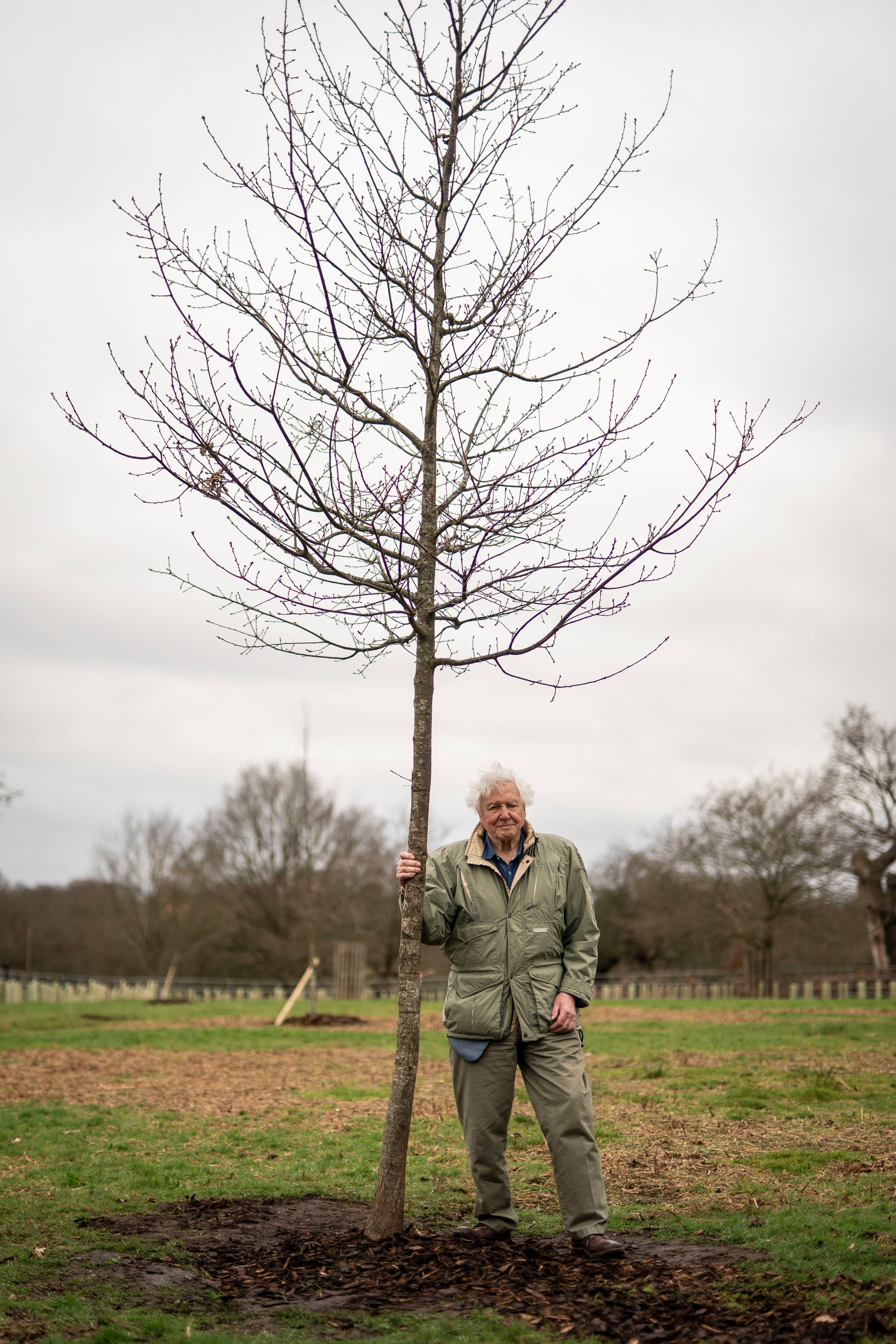 Sir David Attenborough plants a tree, in honour of Queen Elizabeth II, for The Queen's Green Canopy in Richmond Park with school children from across London